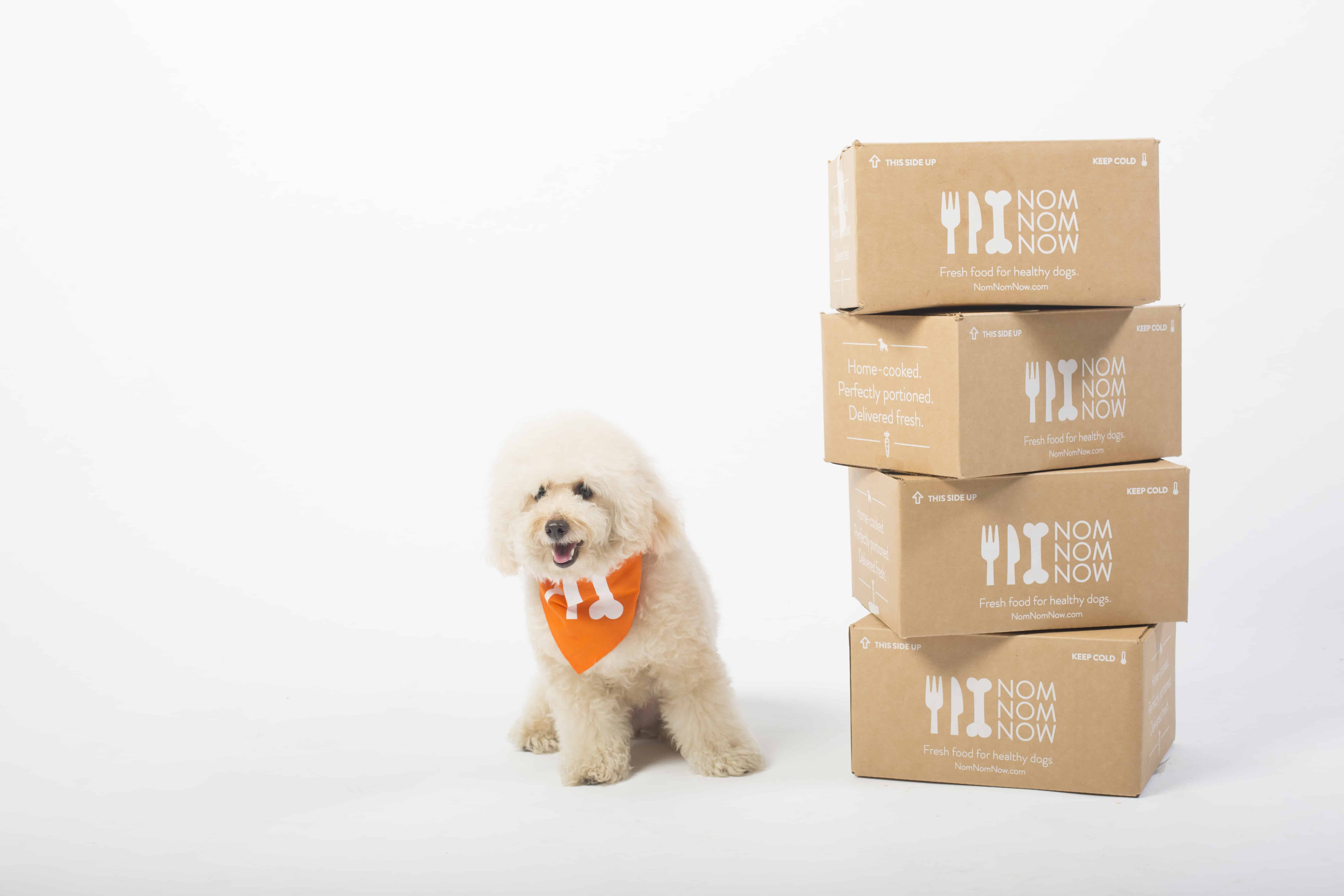 pet food delivery