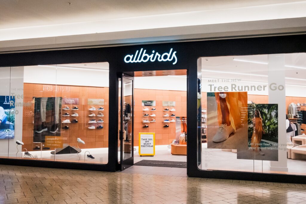 Ecommerce earnings, Allbirds Q2