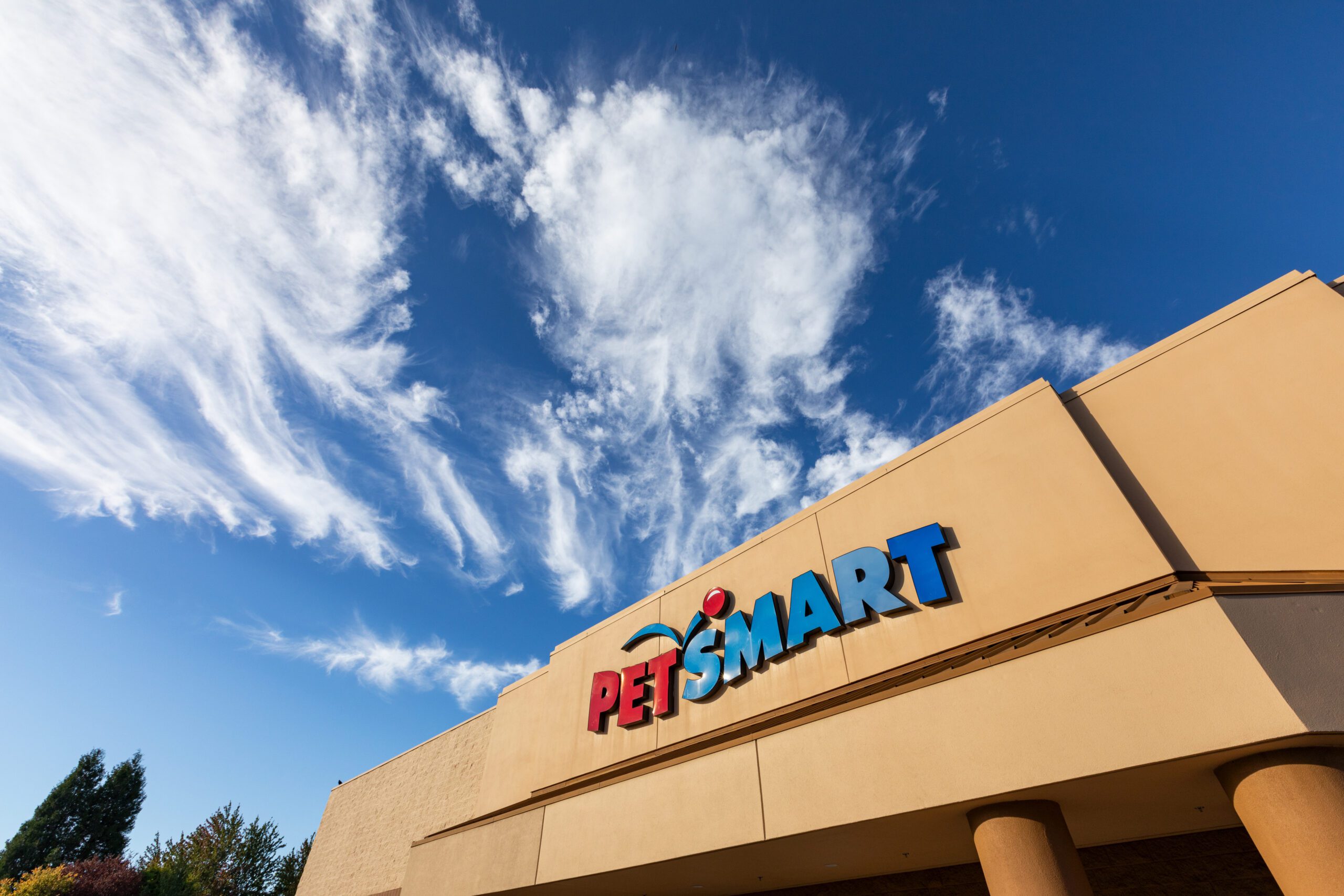 PetSmart begins search for a new CEO